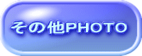 ̑PHOTO 